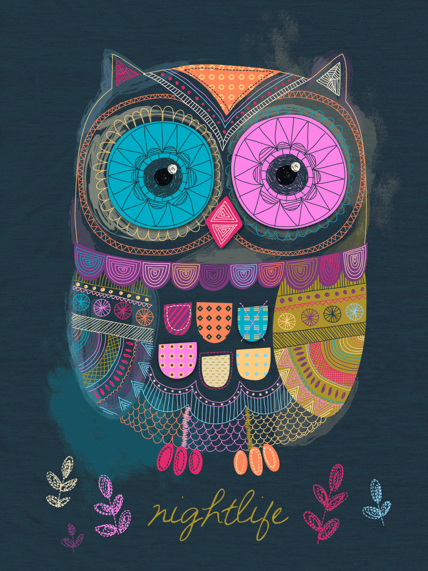 buho de colores